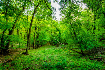 Wander-Lust - Germany