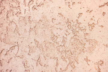Texture with a bark beetle pattern. Facing and plastering of buildings. Thin bright pink color. Artistic preparation for the exterior and interior. Background texture.