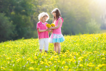 Kids play. Child in dandelion field. Summer flower