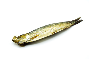 Sprotten Sprotte geräucherter Fisch isoliert freigestellt auf weißen Hintergrund, Freisteller