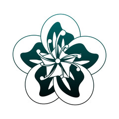 Beautiful flower symbol vector illustration graphic design