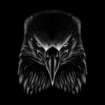  The Vector logo eagle for T-shirt design or outwear.  Hunting style eagle background.