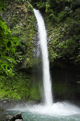 Obraz premium La Fortuna waterfall splashes down amidst lush foliage.