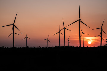 Wind turbine farm and agricultural fields with rays of light at sunset