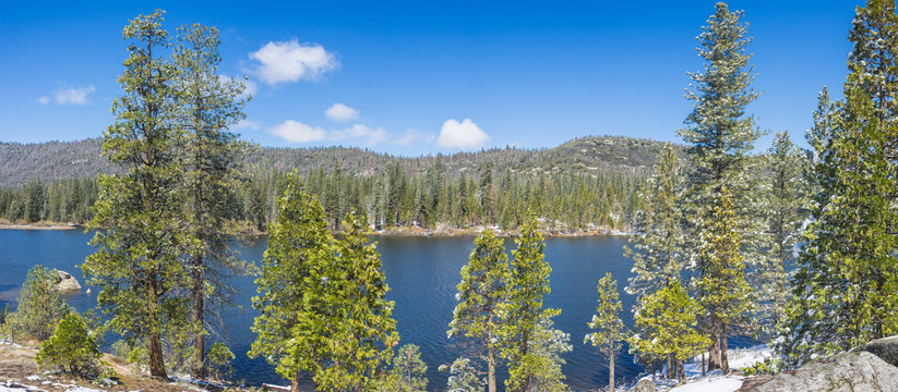 Fototapeta Pine trees grow along the shore of a blue lake in the Sierra Nevada mountains of central California.