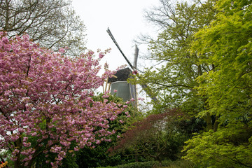 Old windmill with many people in famous garden in Keukenhof.
