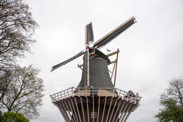 Traditional Dutch windmills with vibrant tulips, The Netherlands
