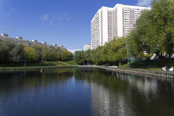 Fototapeta na wymiar Pond in Moscow.
