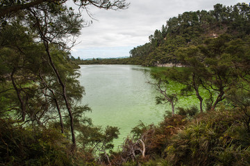 A green lake at the Waiotapu Geothermal Wonderland in New Zealand near Rotorua. 