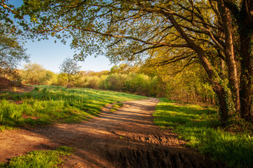 Fototapeta premium Base de plein air de Port-Barbe