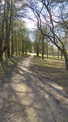 Early spring park in Minsk horizontal