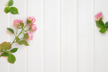 Frame made of pink rose flowers on white wooden background - Flat lay, top view, copy space.