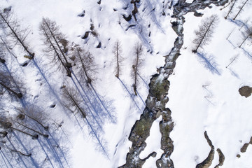Aerial view of a small mountain stream flowing in the snow at spring in a sparse larch forest