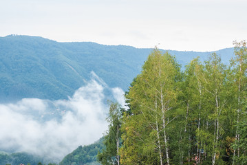 Beautiful landscape