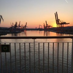 port Gdynia 