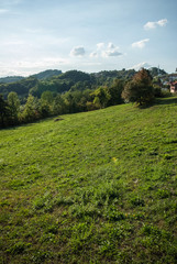Beautiful nature and amazing sunny day
