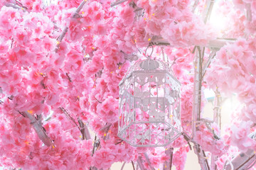 Pink large flowers blooming of the sakura tree on the branches blossom. Cage for birds with butterflies.