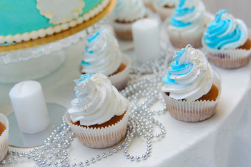 Blue and white cupcakes on the plate on the candy table