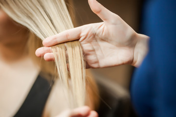 hairdresser stylist holds girl hair