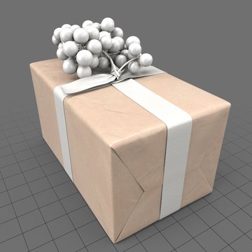 Wrapped present with fake grapes 1
