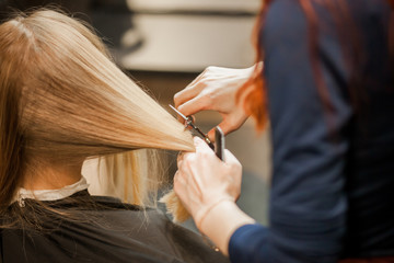 Obraz na płótnie Canvas stylist cuts hair blonde in the salon