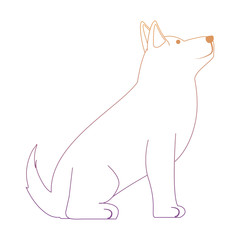 cute husky dog icon over background, colorful line design. vector illustration