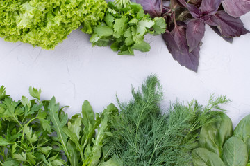 Variety of fresh vgetables and copy space. Frame from fresh organic herbs and space text. Healthy eating and diet. © DenisProduction.com