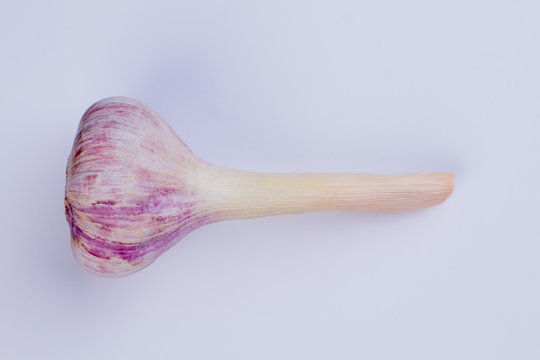 Young purple garlic with stem. Fresh organic vegetable on textured background. Food, spices, cuisine.