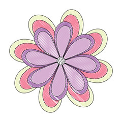 beautiful flower icon over white background, colorful design. vector illustration