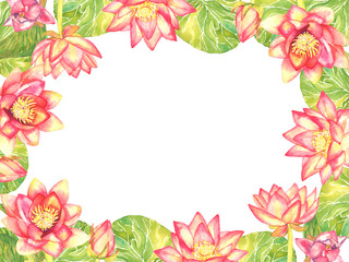 Fototapeta na wymiar Horizontal frame greeting card design of pink lotus flowers on white background, hand painted watercolor illustration