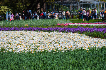 Aiuola con fiori rosa, rossi, viola, azzurri, blu