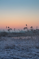 sunrise above the spring, frozen river 