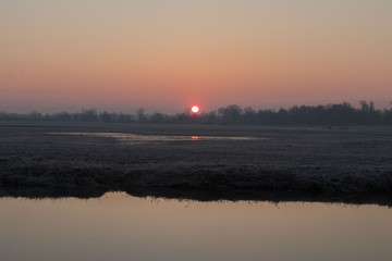frozzy sunshine by the spring river