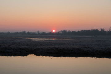 frozzy sunshine by the spring river