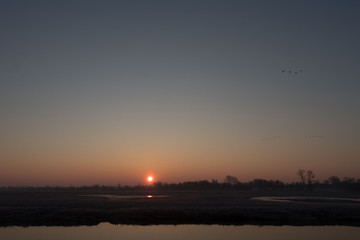 sunshine next to the wild river side in frozy winter morning 