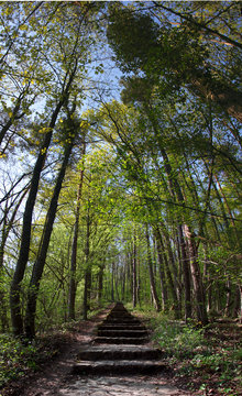 Stairs up to the Liborius Chapel near Echternach
