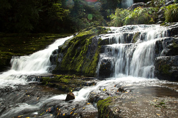 The McLean Falls on the Tautuku River in New Zealand