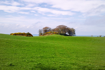 Obraz premium Spring forest park,Northern Ireland