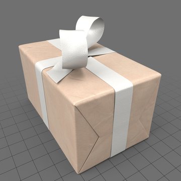 Wrapped present with white bow