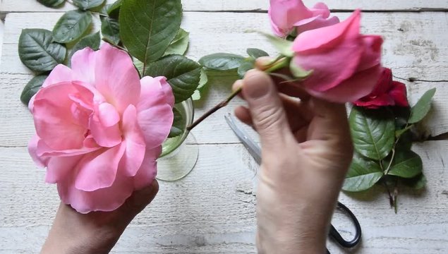 Top view of female decorator arranging roses on the wooden table, Concepts - fiorist, occupation, hobby, small business