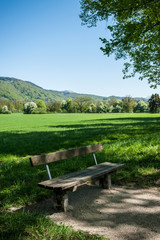 Salzburg, Hellbrunn, Sommer, fremdenverkehr, natur