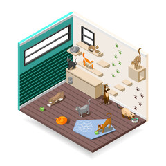 Home For Cats Isometric Composition