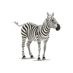 Obraz na płótnie Canvas Zebra vector sketch exotic animal icon