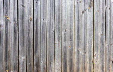 Obraz premium vertical wooden background.