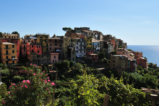 Corniglia - old village in Cinque terre, Italy
