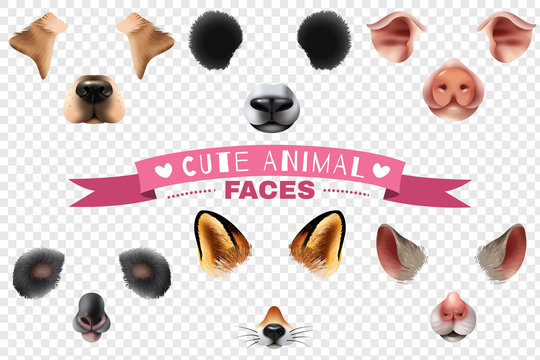 Cute Animal Faces Transparent Icon Set
