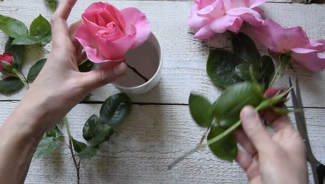 Top view of female decorator arranging roses on the wooden table, Concepts - fiorist, occupation, hobby, small business