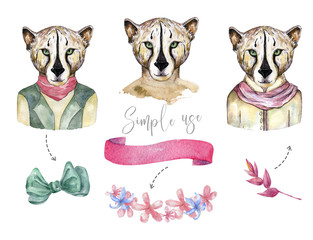 Watercolor wild cats. Tiger, leopard clip art, wild animal, drawing cheatah illustration, design card for celebration, feathers ribbon flowers on white background