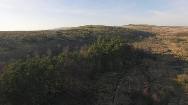 Trees & Moorland, Dartmoor Aerial Drone Landscape Footage