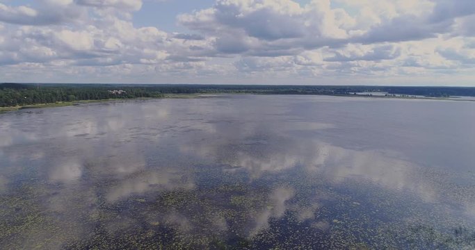 Lake Water lilies seaweed drone flight and pine forest